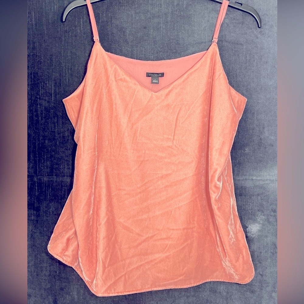 Ann Taylor Velvet  Top